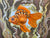 Goldfish #2480