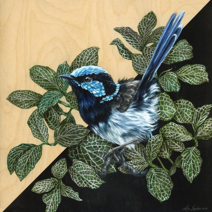 Meet the PRISMA Collective