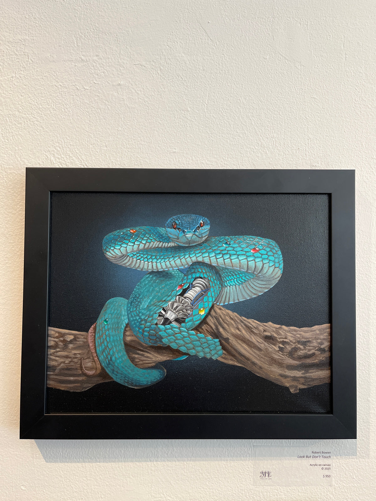 Look But Don't Touch