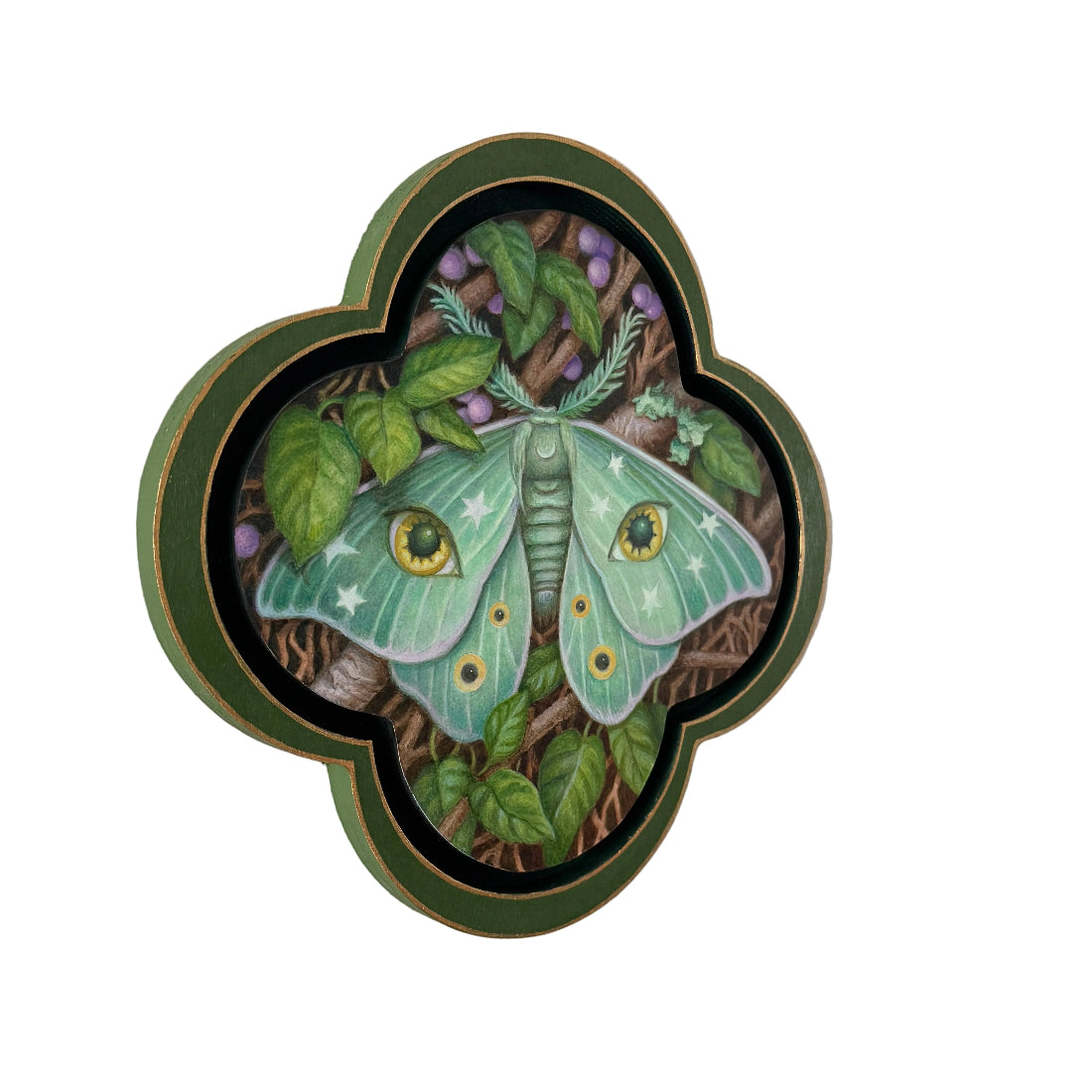 Decorative plate with a green moth design on a white background