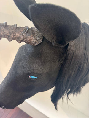 Close-up of a horse's head with a branch on its head