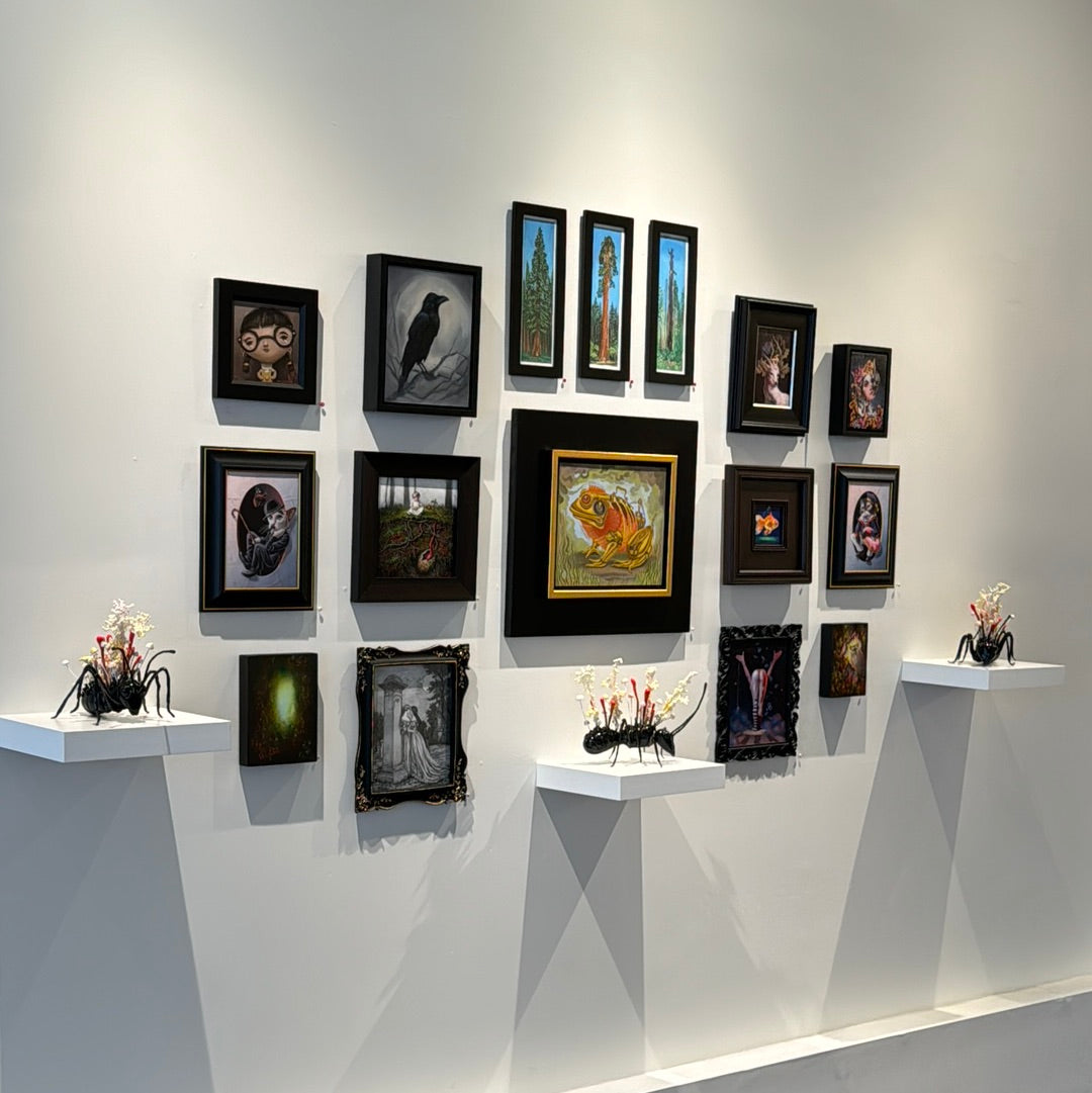 Cordyceps Militaris 1