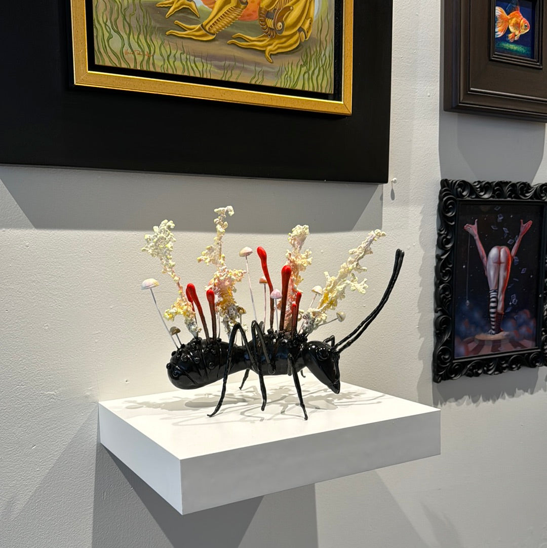 Cordyceps Militaris 2