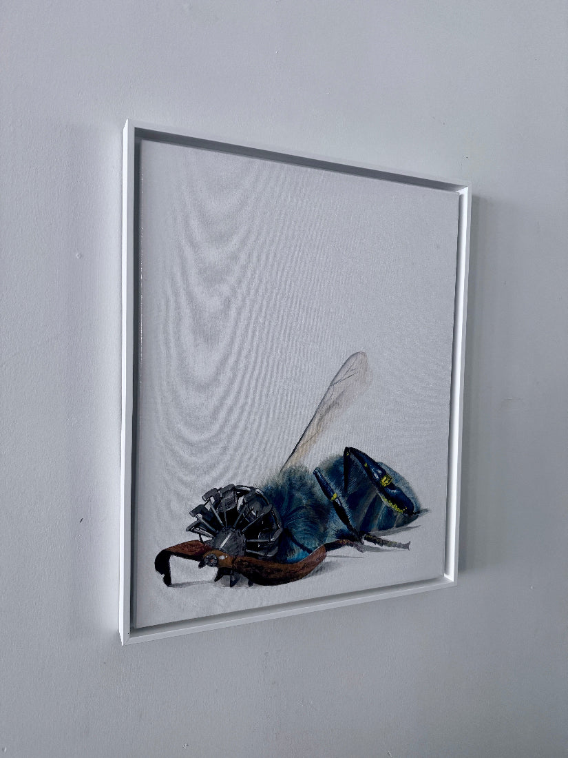 A framed art print featuring a detailed illustration of a blue and black bee on a white background, hung on a light gray wall.