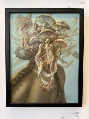 Shaman in Transition