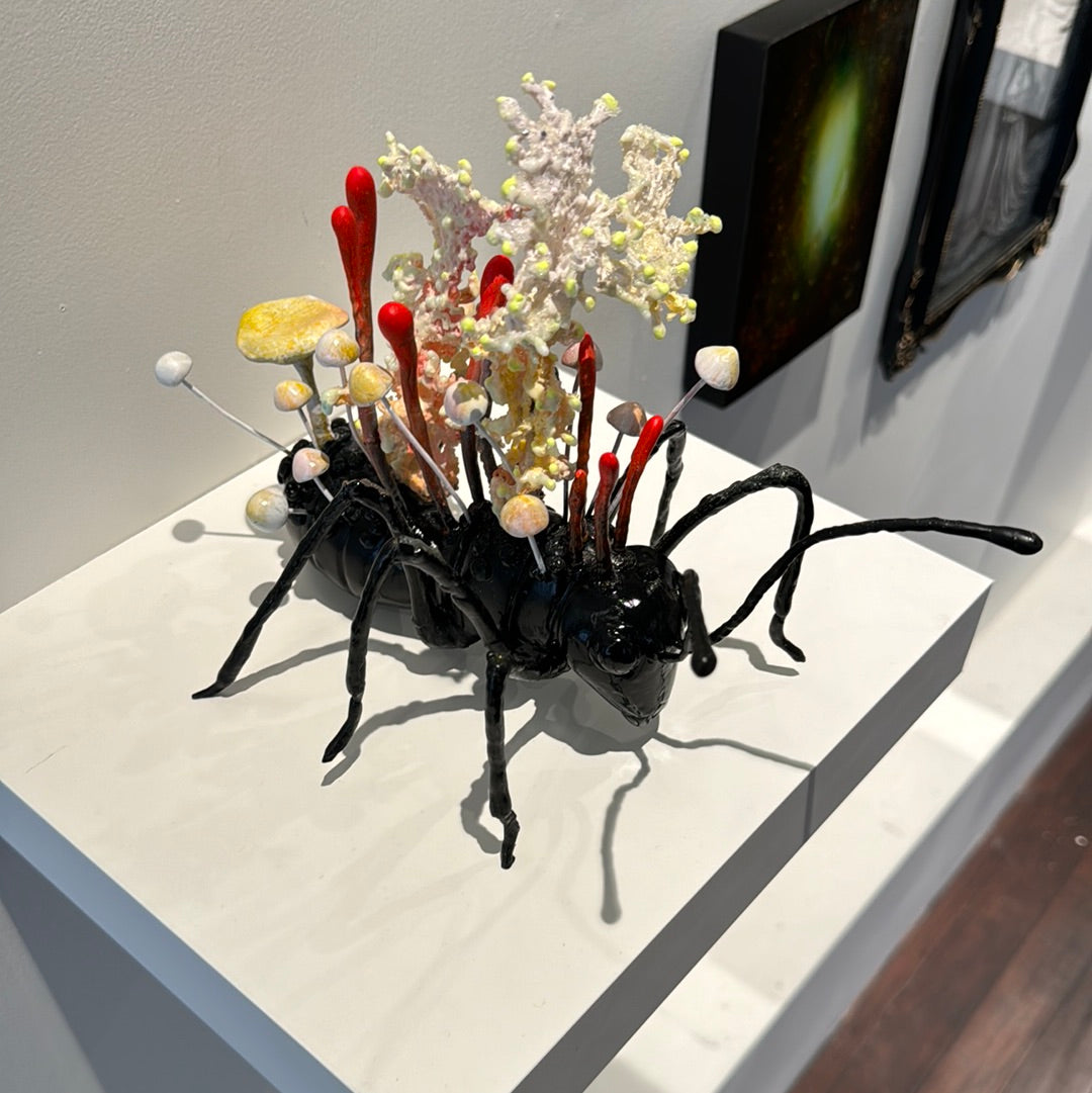 Cordyceps Militaris 3