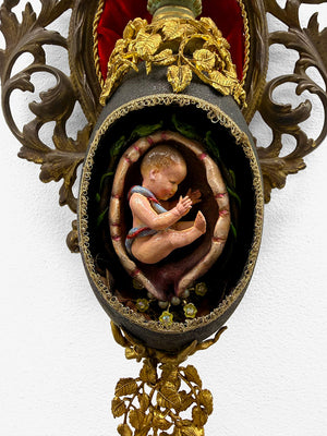 The Codex of Flesh and Bone