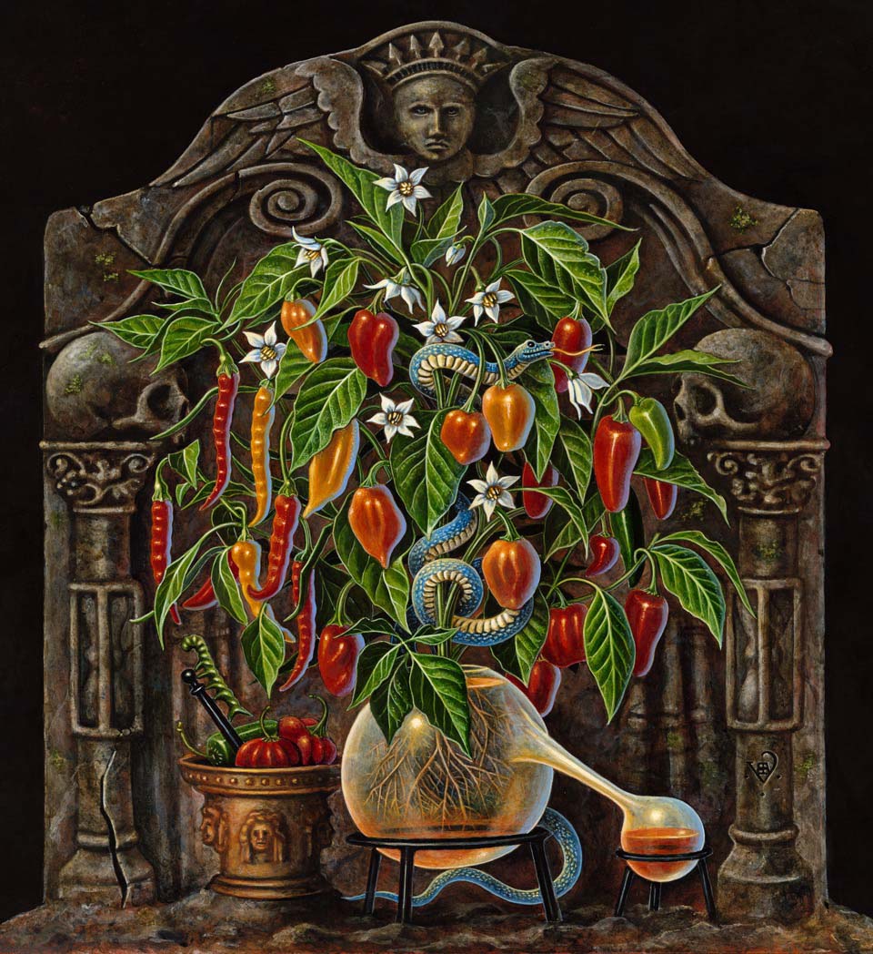 Capsicum Anuum