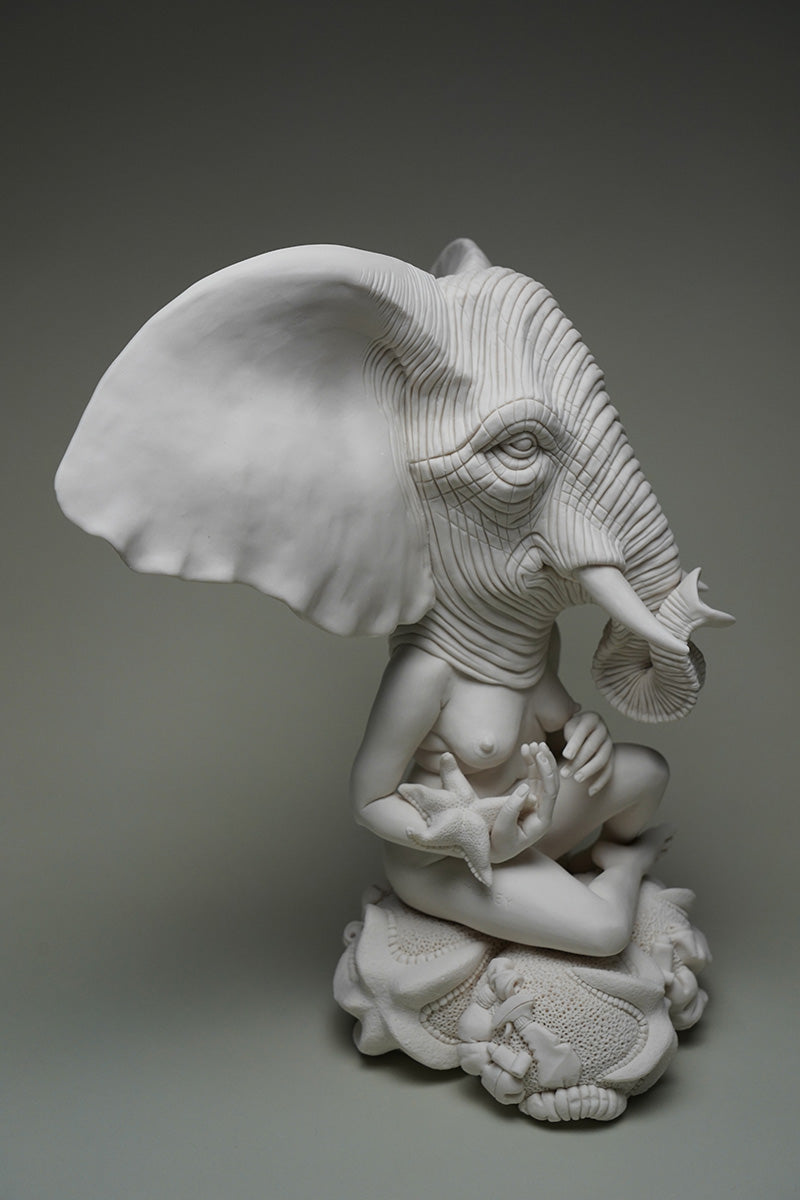 Rising Waters, Boiling Seas: Bush Elephant and Starfish Anecdote