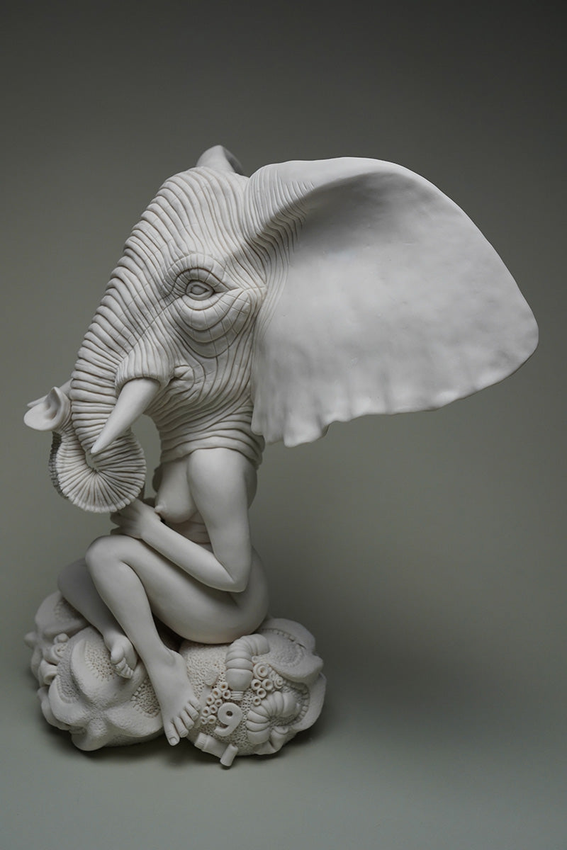 Rising Waters, Boiling Seas: Bush Elephant and Starfish Anecdote