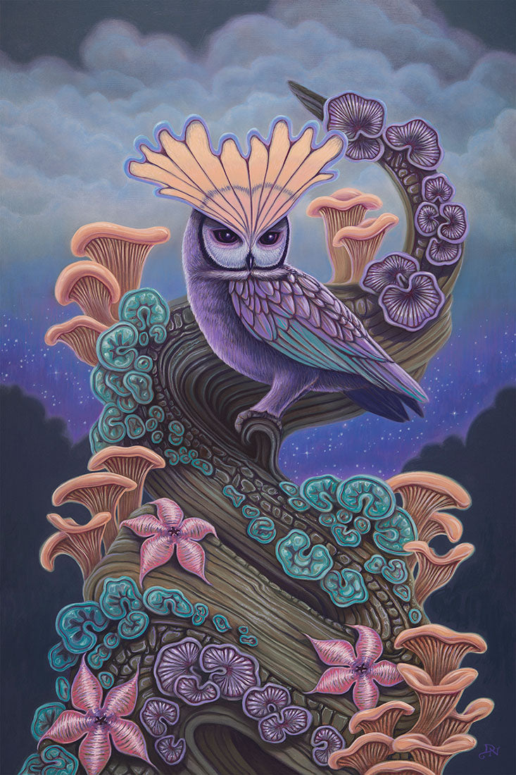 Colorful illustration of an owl perched on a branch with mushrooms and flowers against a starry night sky.