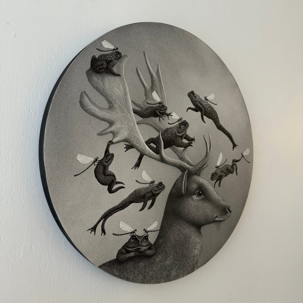 Clove and the Toad Fairies