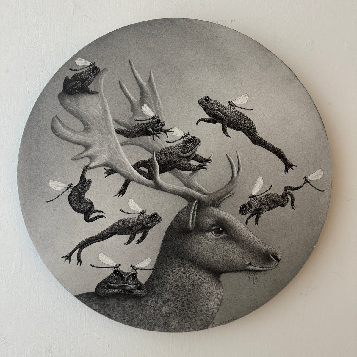 Clove and the Toad Fairies