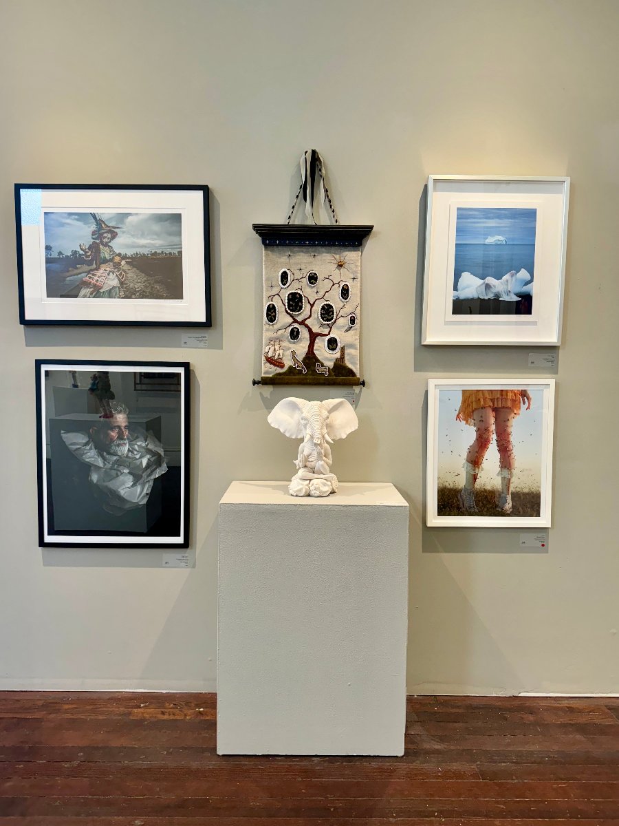 Rising Waters, Boiling Seas: Bush Elephant and Starfish Anecdote