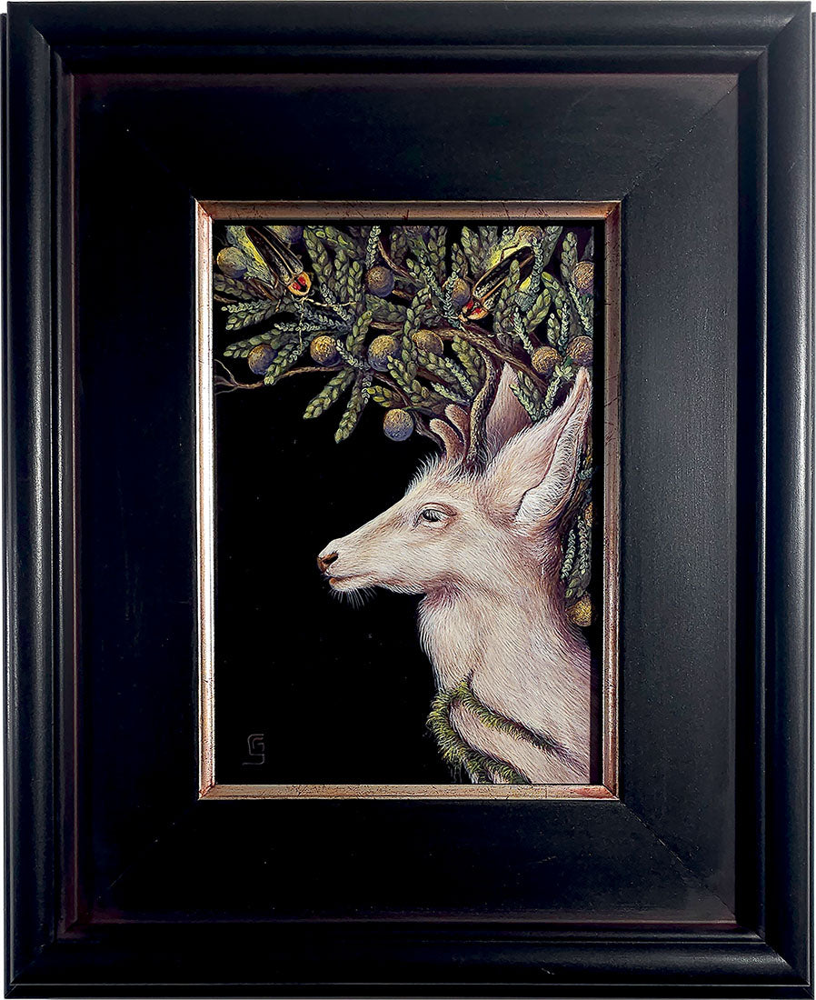 The Wisdom of the Old Juniper Tree