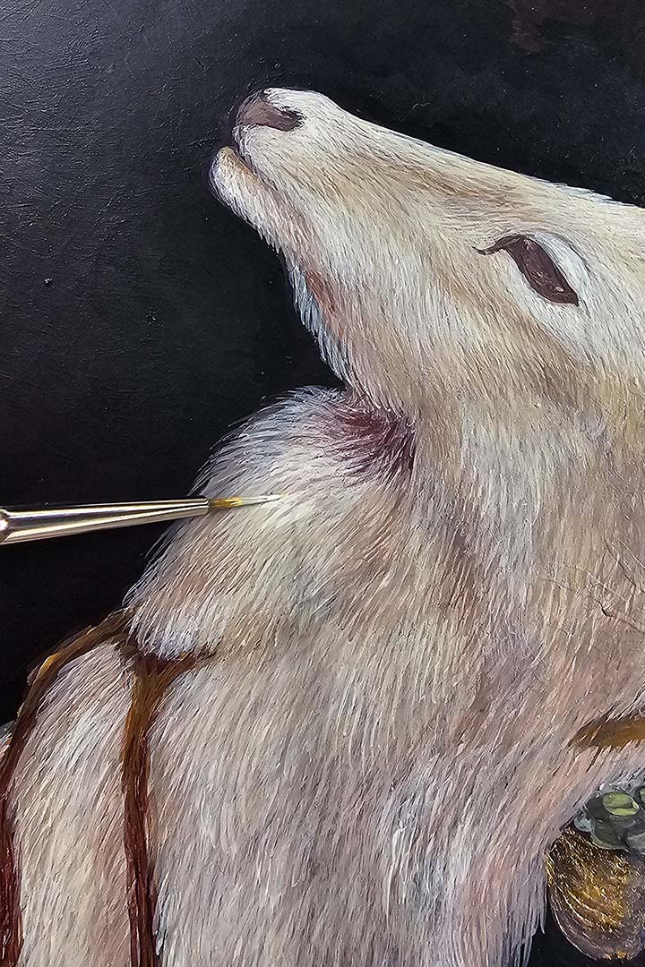 The Wisdom of the Old Juniper Tree