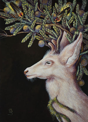 The Wisdom of the Old Juniper Tree