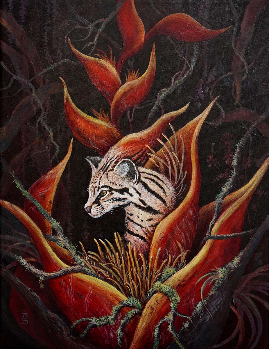 Ballade For the Young Ocelot