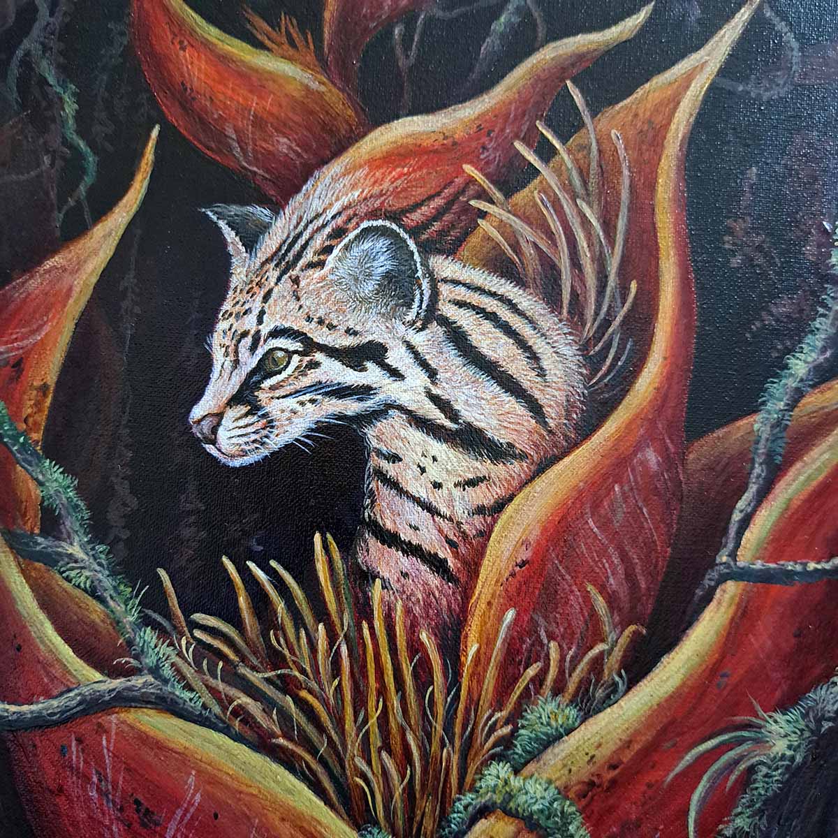 Ballade For the Young Ocelot