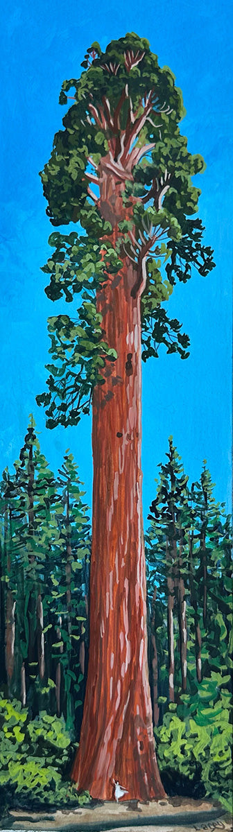 Giant Sequoia