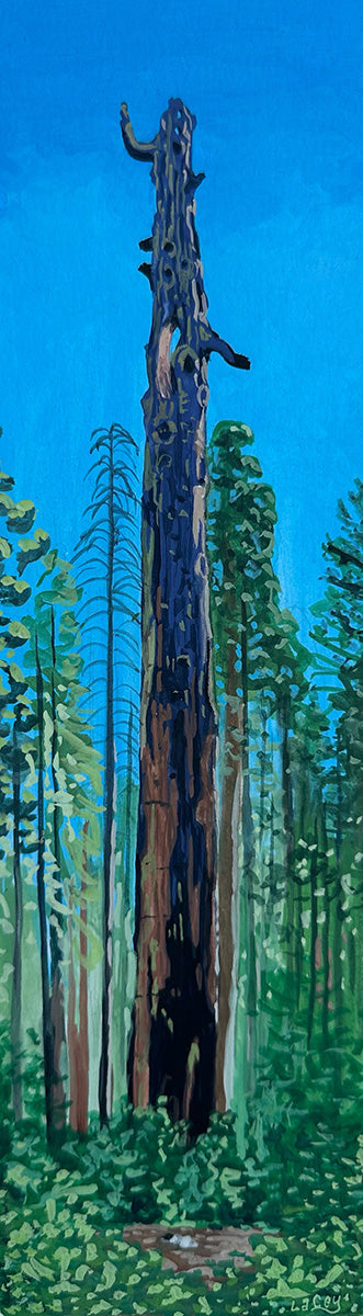 Mother of the Forest