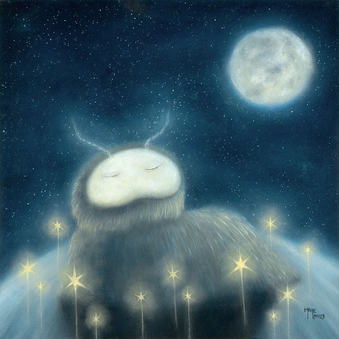 Where the Light Grows