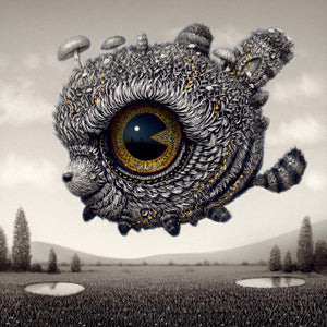 Lucid Dreamer 238