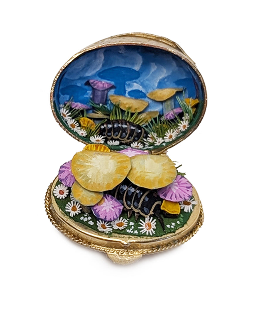 Pill Bug Box, White