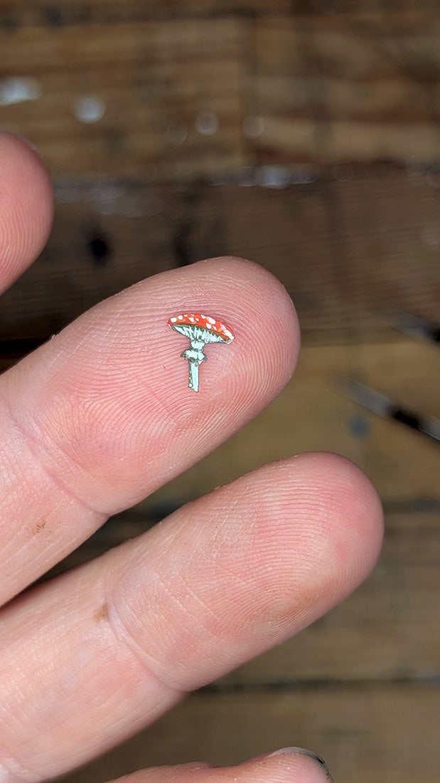 Dragonfly Stars (luck charms for change)