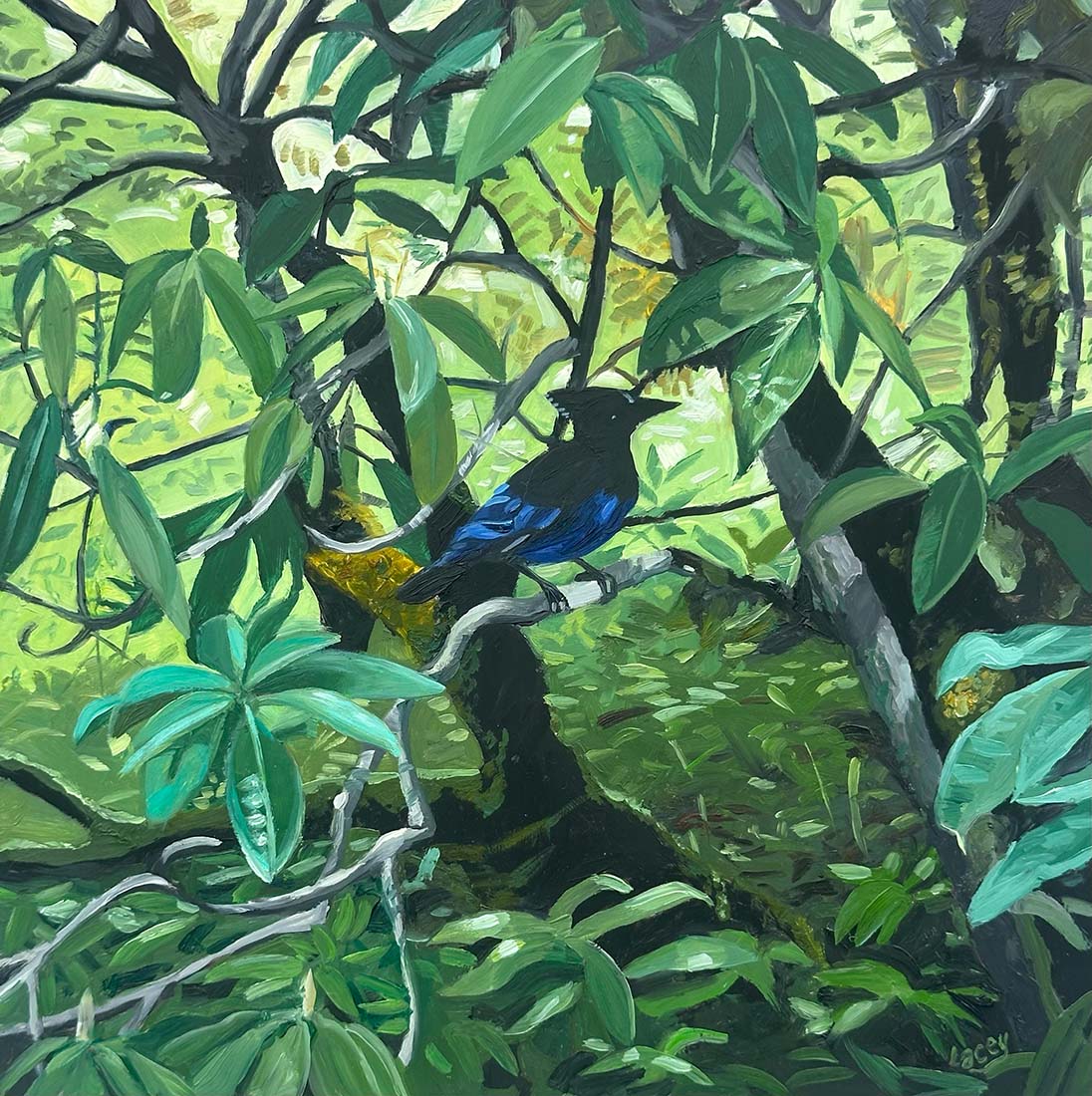 Painting of a blue jay perched among green foliage