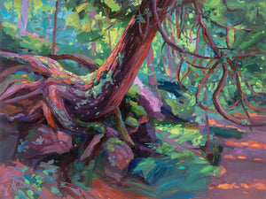 Rooted in Motion, Presque Isle (Day 148)