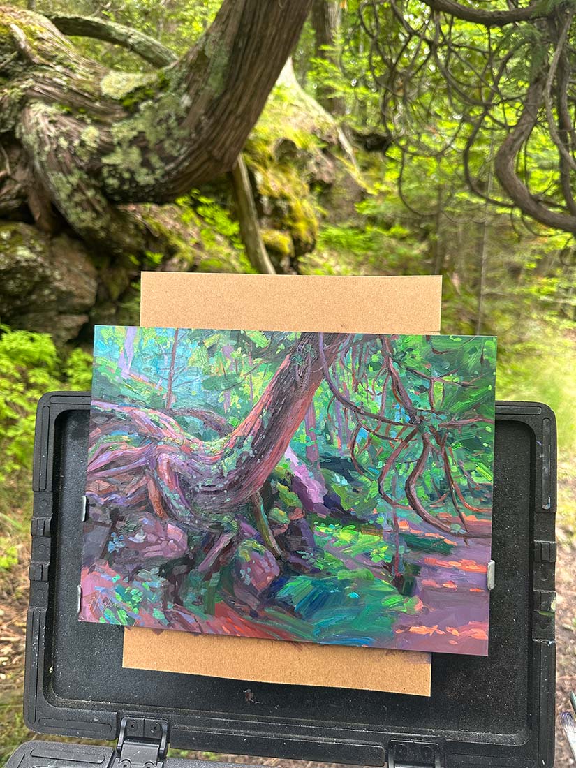 Rooted in Motion, Presque Isle (Day 148)