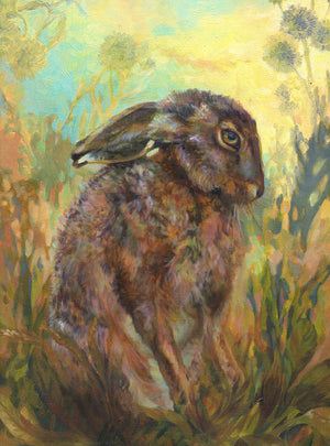 Summer Hare