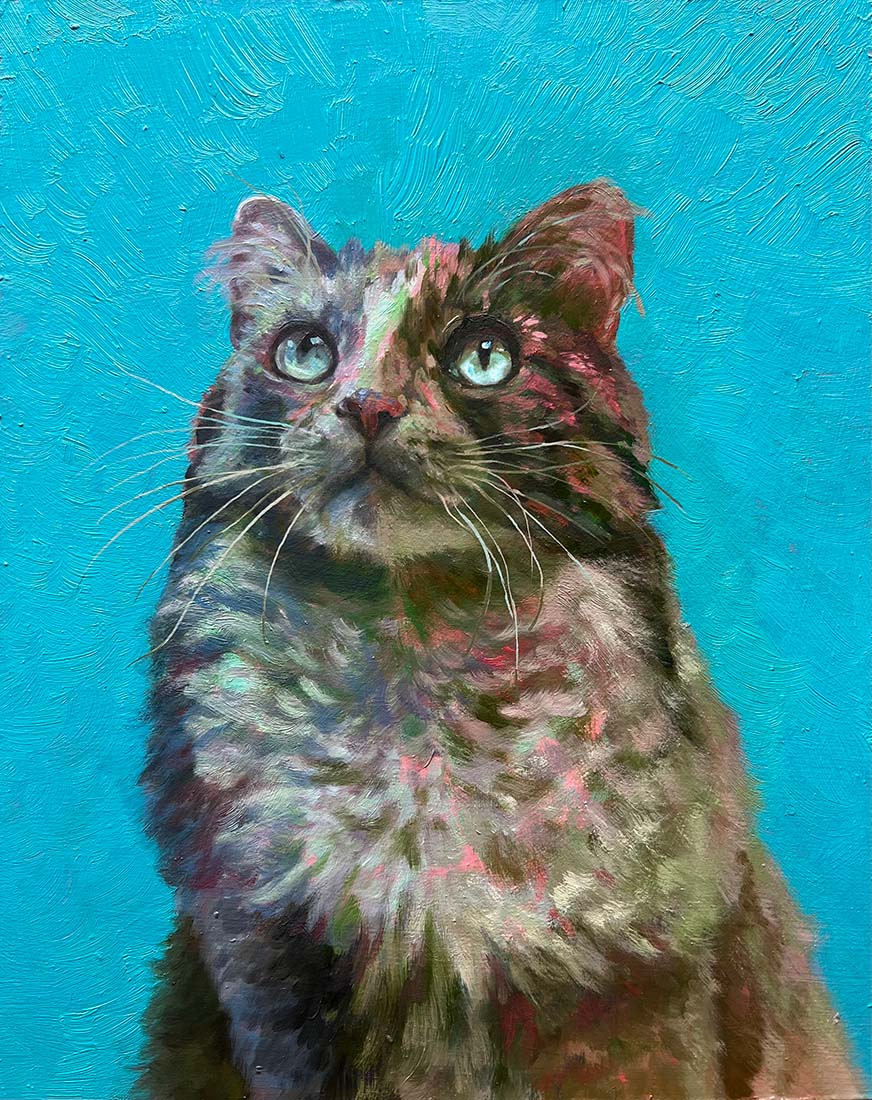 Disco Kitty