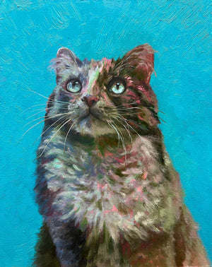 Disco Kitty