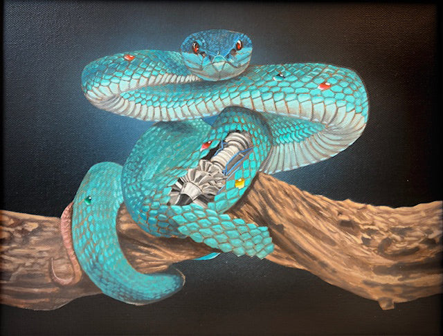 Look But Don't Touch