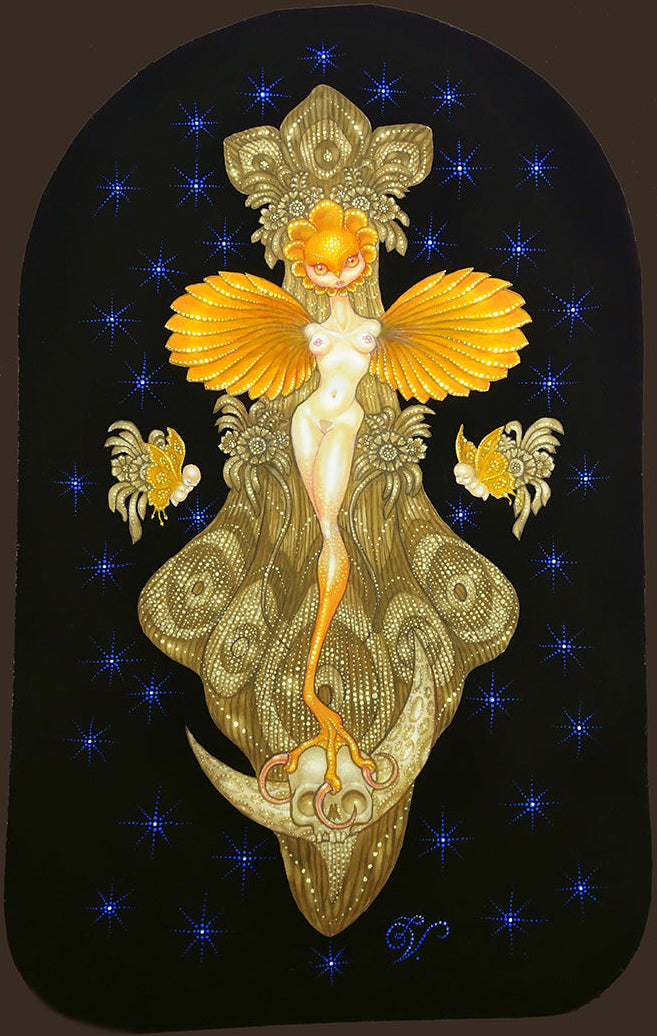 Spirit Healer...Wild and Free