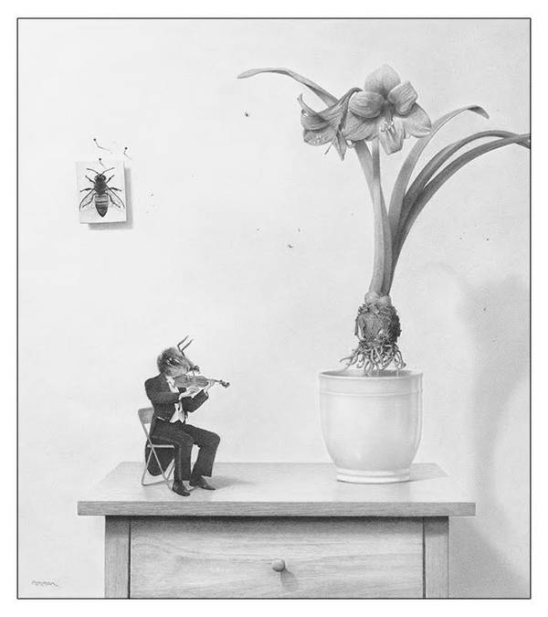 Amaryllis Concerto in Bee