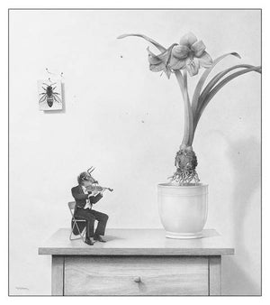 Amaryllis Concerto in Bee