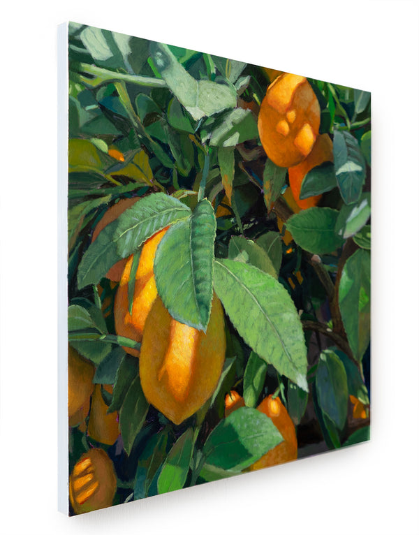 Daniel J Valadez - Lindsey's Meyer Lemon Tree - original artwork