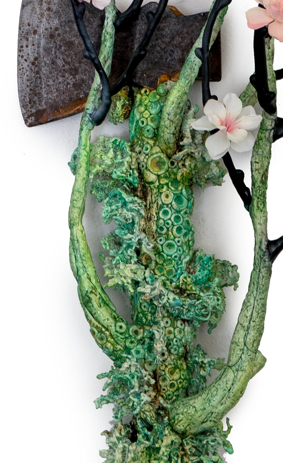 Shadows and Tall Trees