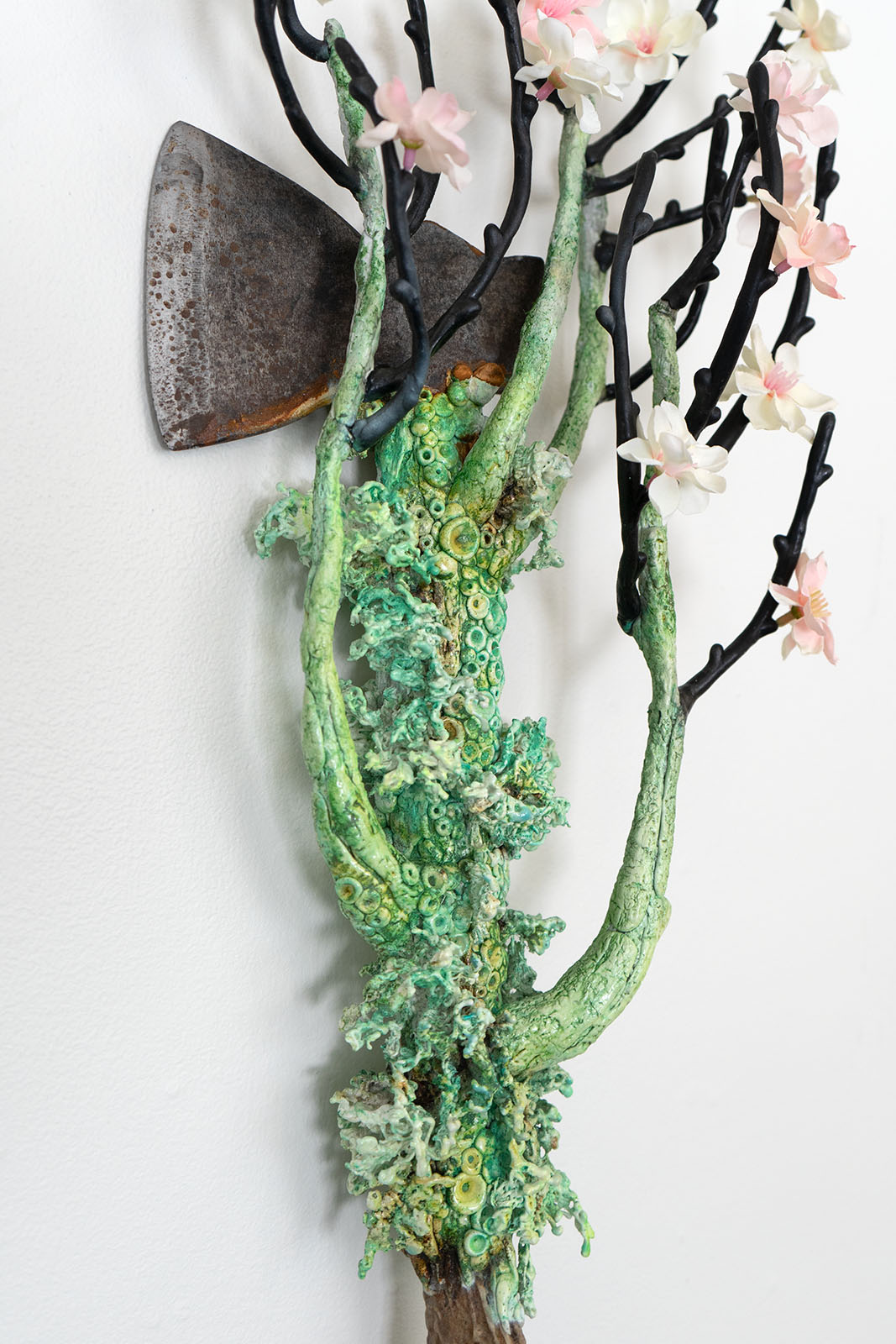 Shadows and Tall Trees