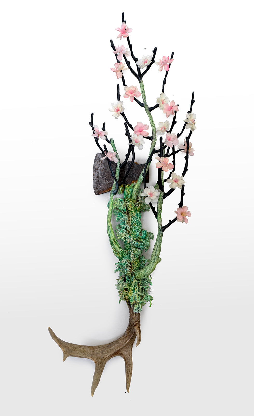 Shadows and Tall Trees