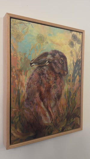 Summer Hare