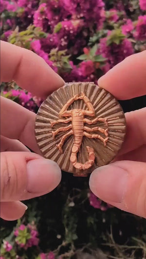 Starry Scorpio