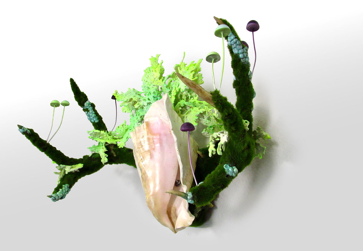 The Sound of the Shell