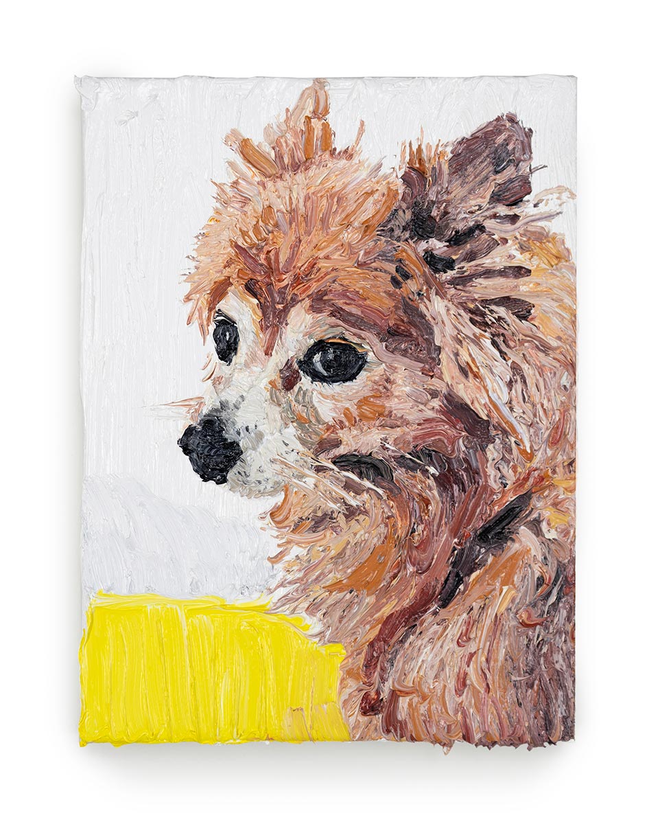 Portrait of Bear, 2020