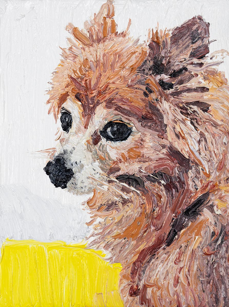 Portrait of Bear, 2020