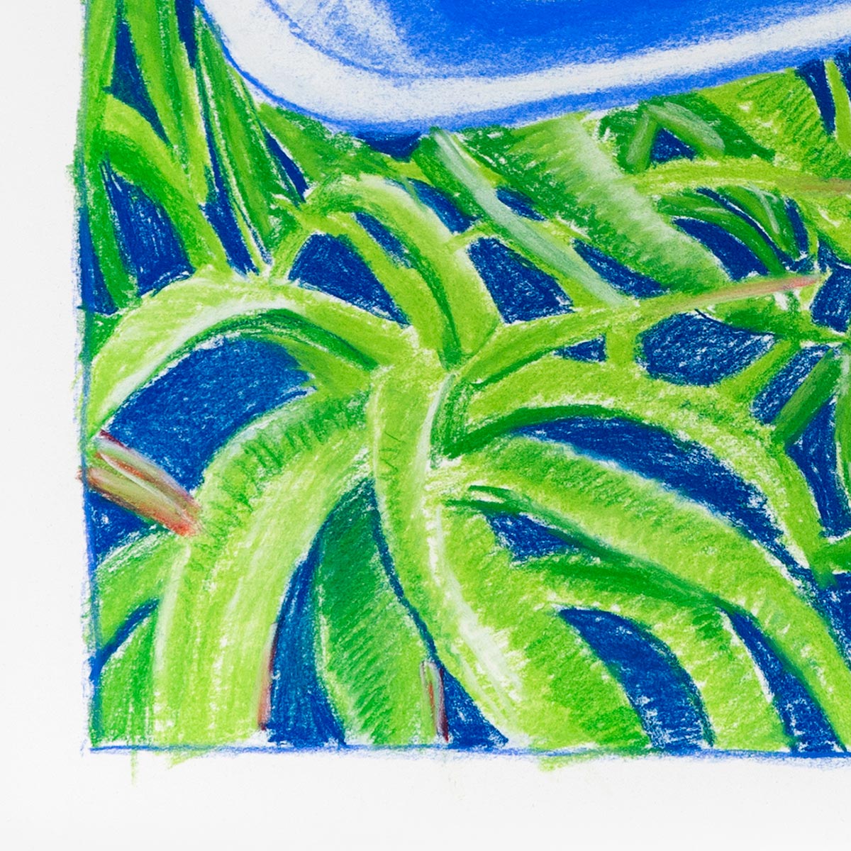 Reflection in the Mirror