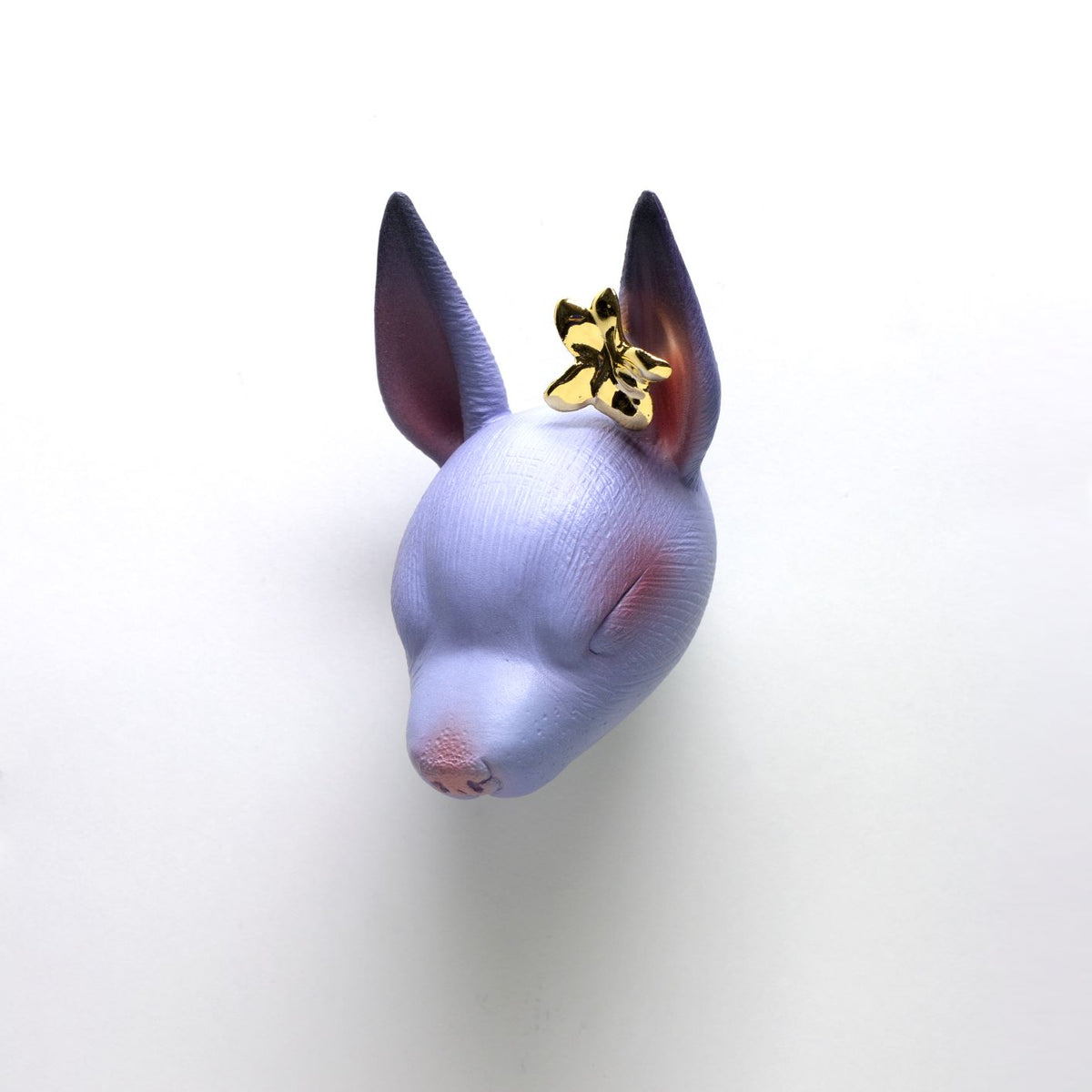 Chikkoi Warrior (Flower)